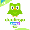 Mua Duolingo Super giá rẻ tại HoangTuTech.Com